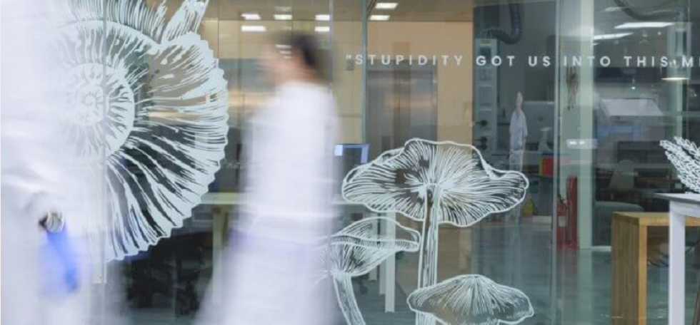 Inditex suma otra ‘next gen’: entra en el capital de Epoch Biodesign