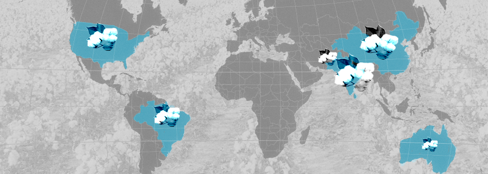 mapa mundial de etnias