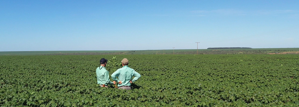 Better Cotton responde: “El algodón de la ropa se produce de manera responsable”