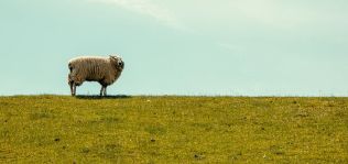 La España ‘new rural’: los pueblos ganan 57.000 habitantes en el año del Covid