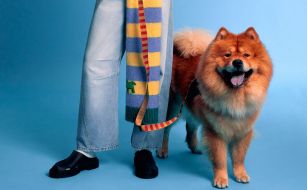 Bimba y Lola saca de paseo a sus mascotas