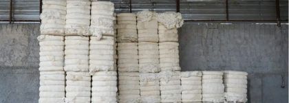 Better Cotton lanza una plataforma para asegurar la trazabilidad de su algodón