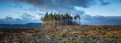 Raquel G. Monzón (WWF): “En la COP27 es vital avanzar en financiación y adaptación”