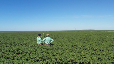 Better Cotton responde: “El algodón de la ropa se produce de manera responsable”